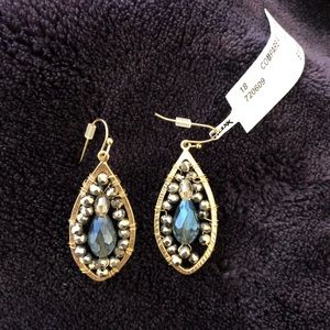 Teardrop Earrings